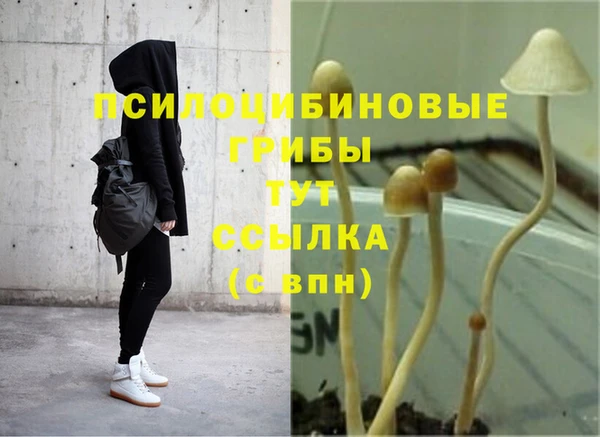 прущая мука Абинск