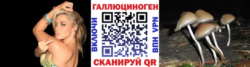 Псилоцибиновые грибы мицелий  цены наркотик  Благодарный 